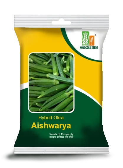 Hybrid Okra Aishwarya